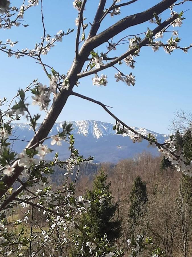 Chalet Z Widokiem W Gorach *