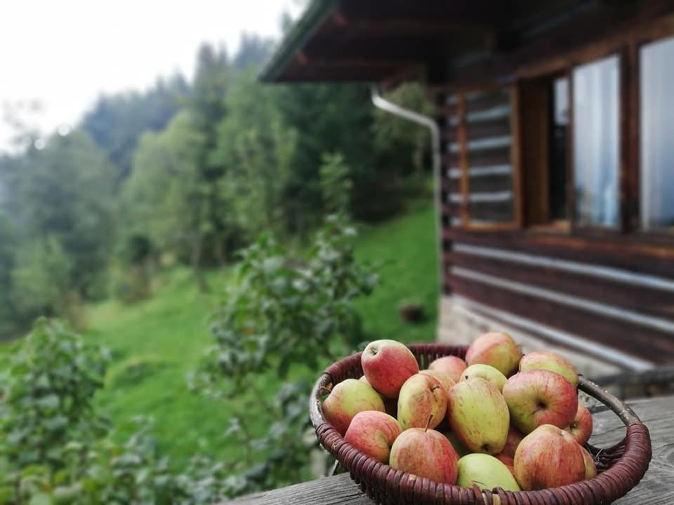 Z Widokiem W Gorach Chalet Zawoja