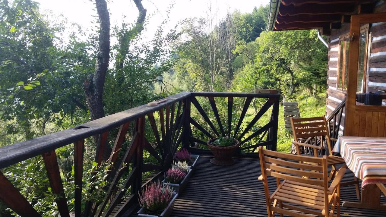 Z Widokiem W Gorach * Zawoja