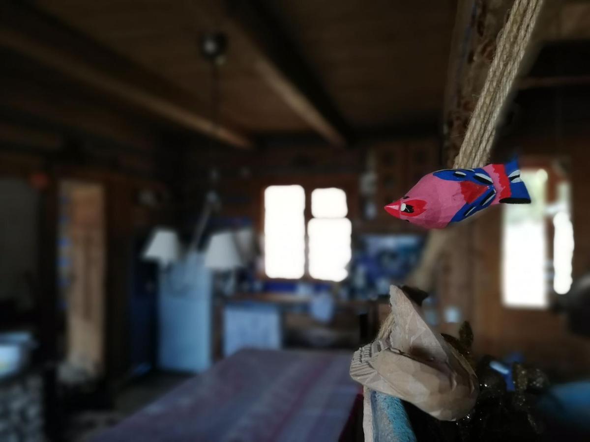 Z Widokiem W Gorach Zawoja